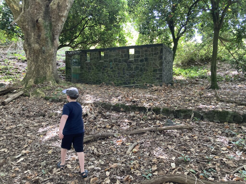 An old stone building located in forest-like surrounds. It has three small windows and a door and is surrounded by trees and fallen leaves. There is a small boy in the foreground, approaching the building.