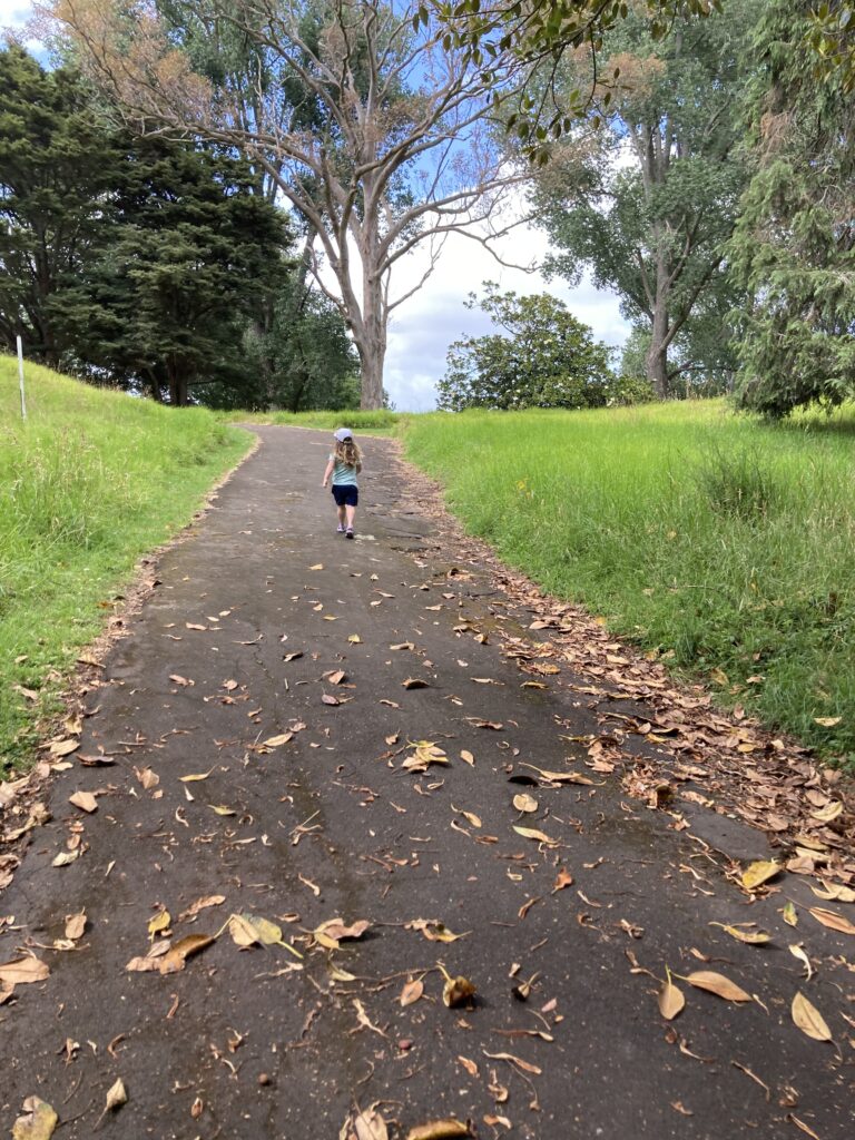 A photo looking up a narrow mountain path, surrounded by grass. There are fallen leaves on the path and large trees in the background. A small child is walking up the path.