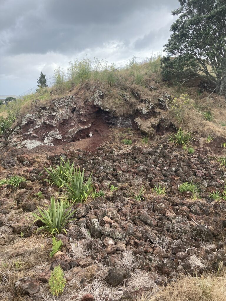 A small picture of the side of a quarried volcano featuring lava bombs, scoria and plants.