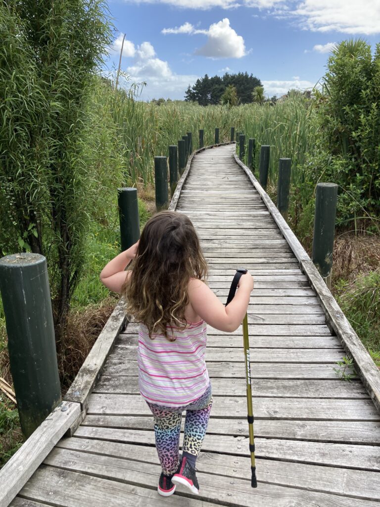 A boardwalk across a wetland area. A small child is on the boardwalk holding a walking pole.