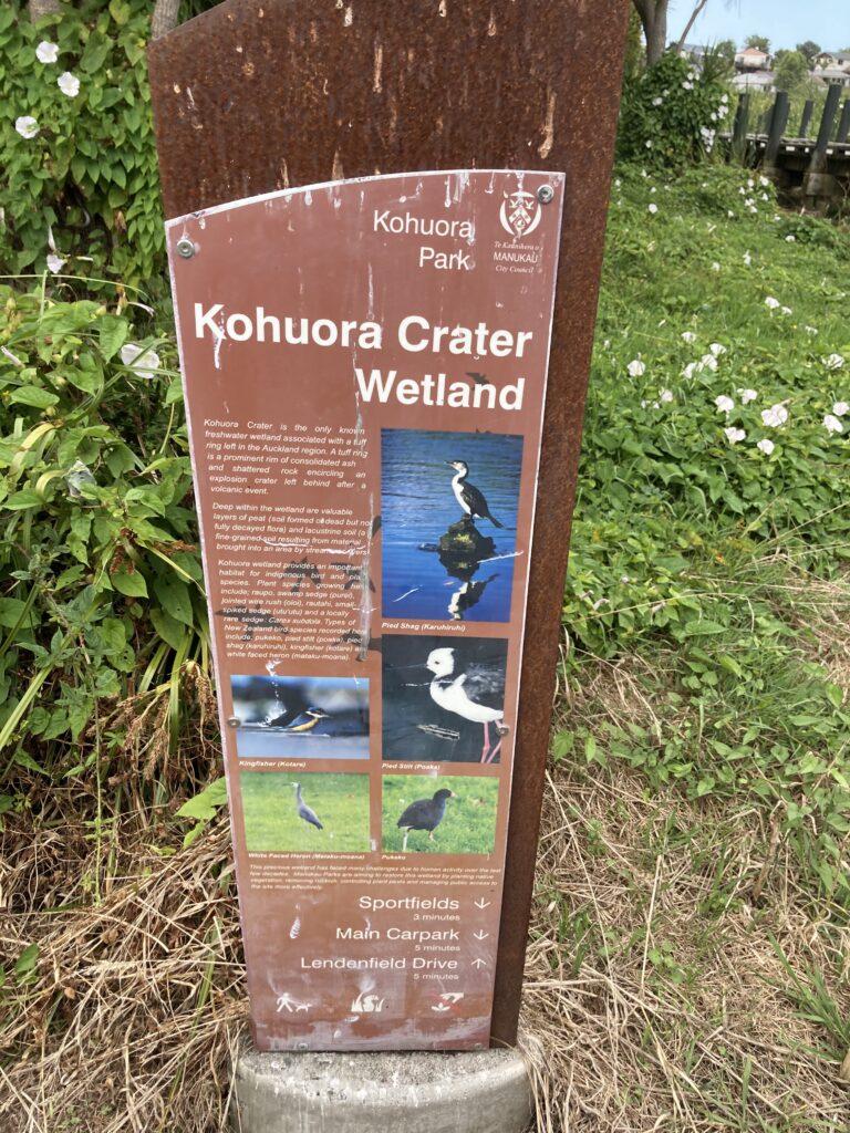 A worn, red Auckland City Council sign describing Kohuora Crater Wetland, affixed to a rusty post.