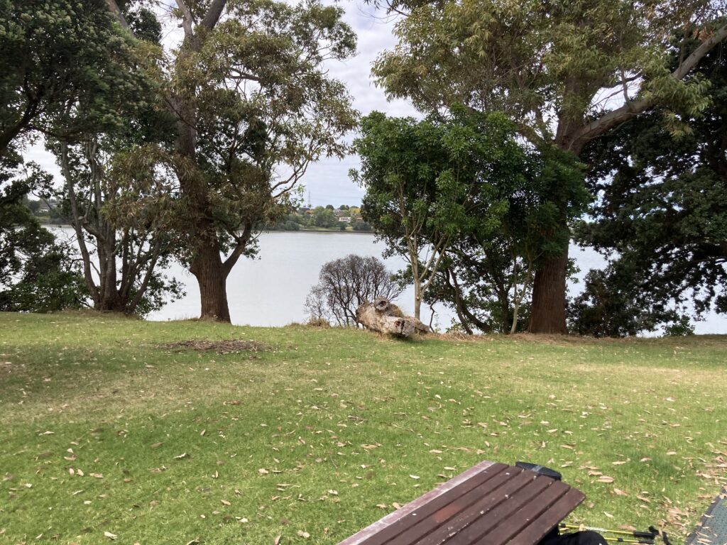 A photo of the Panmure Basin, a tidal estuary. There are trees and a bench in the foreground. The sky is grey.