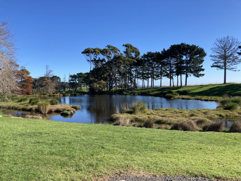 #15. Puhinui Craters (Puhinui Reserve)